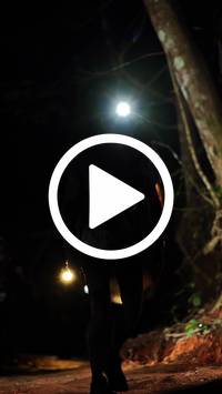 BIB:  <button type="button" onclick="openModal(27548281)" class="btn btn-primary btn-sm float-right" data-toggle="modal" data-target=".modal-high-quality">
                <i class="fa fa-download"></i> Download
                </button>